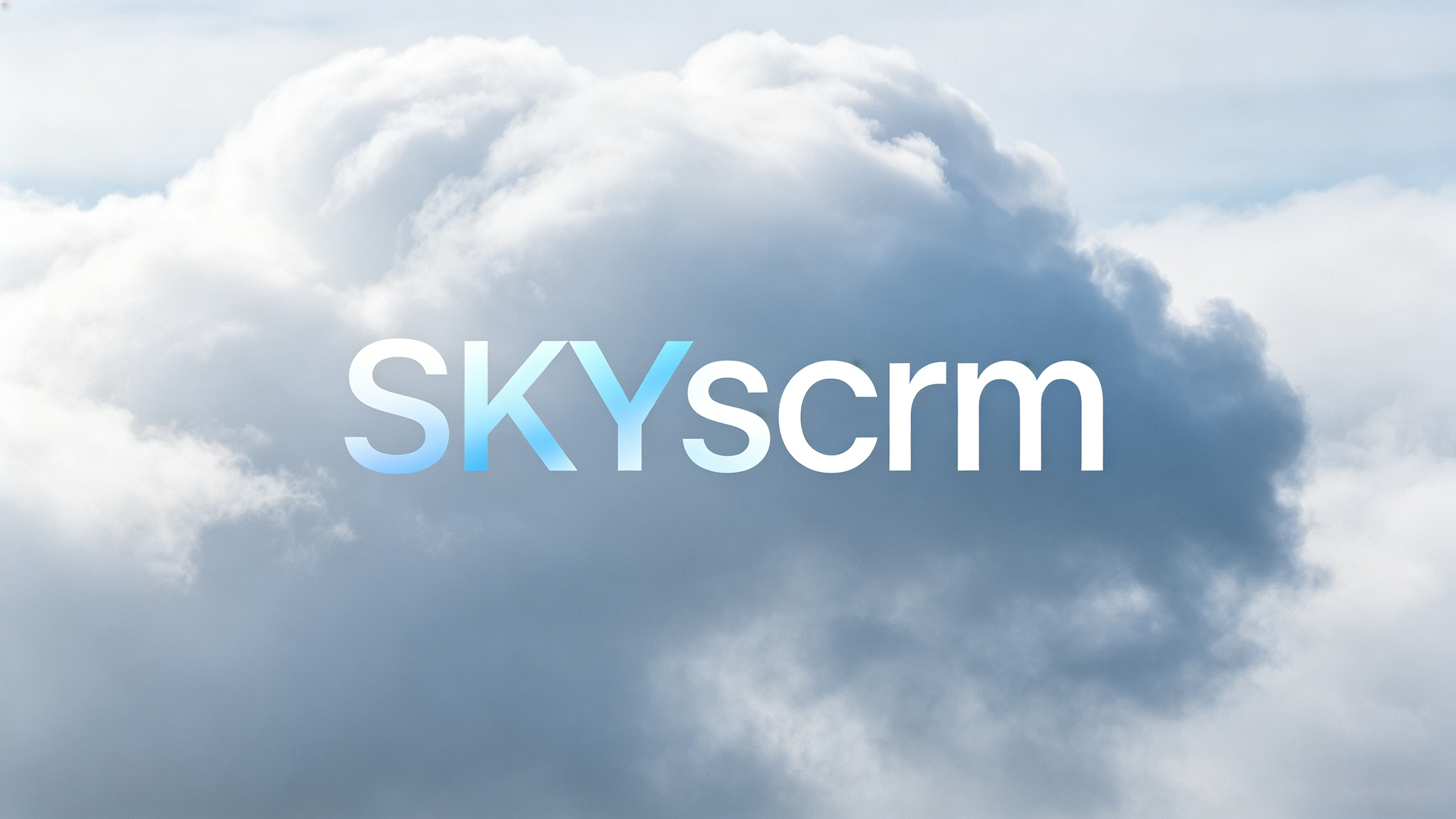 不限语种不限场景，SKYscrm 聚合翻译随心用