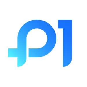 P1Browser 指纹浏览器